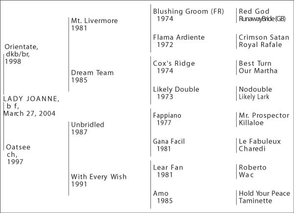 4-Cross Pedigree Lady Joanne