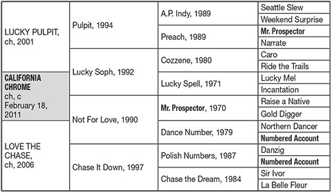 Horse Pedigree Chart