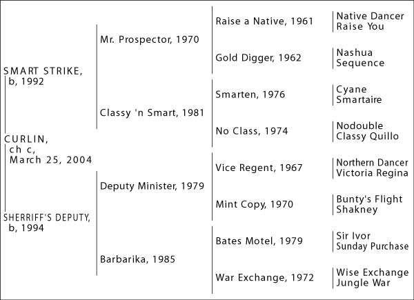 4-Cross Pedigree Curlin