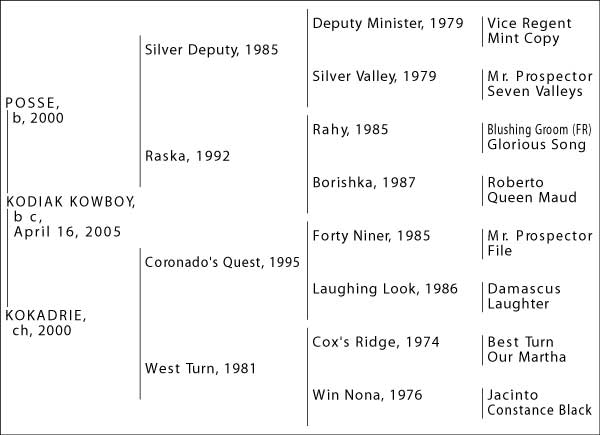 4-Cross Pedigree Kodiak Kowboy