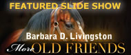 Click to view slide show.