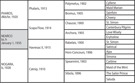 Equine Pedigree Chart