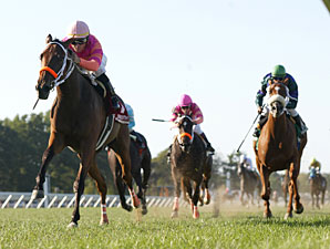 A Brilliant Idea wins the 2010 Junior Champion Stakes.