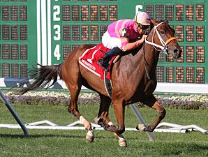 A Brilliant Idea wins the 2010 Junior Champion Stakes.
