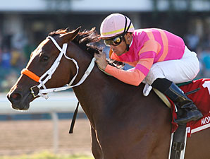 A Brilliant Idea wins the 2010 Junior Champion Stakes.