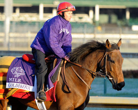 Goldikova 2 AE