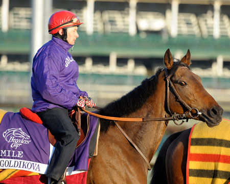 Goldikova 3 AE