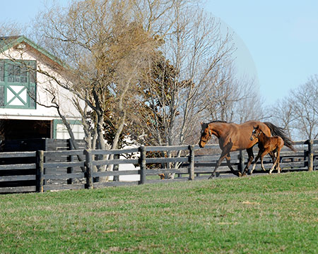 Run by the barn. 