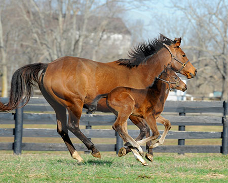 Another Romp With Mom