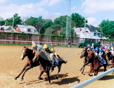 Summer Front Archives - TDN, Thoroughbred Daily News