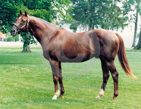 Alydar