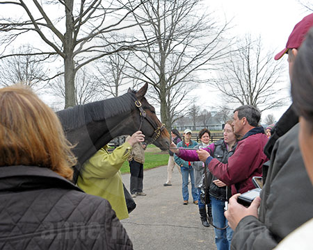 Rachel Alexandra Fan Day 1