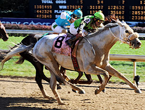 Afleet Again in the Breeders' Cup Marathon.