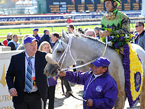 Afleet Again after the Breeders' Cup Marathon.