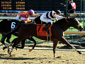 Amazombie in the 2011 Breeders' Cup Sprint.