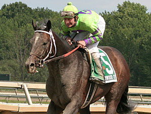 A. U. Miner wins the 2011 Greenwood Cup.
