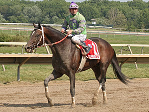 A. U. Miner wins the 2010 Greenwood Cup.