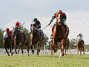 A Unique Treasure wins the 2010 My Frenchman Stakes.