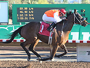 Az Ridge wins the 2013 Hank Mills Sr. Handicap.