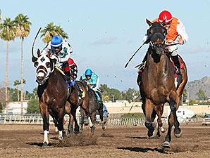 Az Ridge wins the 2013 Hank Mills Sr. Handicap.