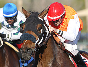 Az Ridge wins the 2013 Hank Mills Sr. Handicap.
