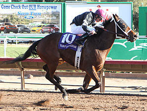 Az Ridge wins the 2012 Luke Kruytbosch Stakes.