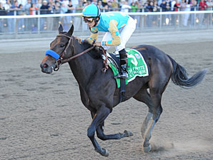 A Z Warrior wins the 2010 Frizette.