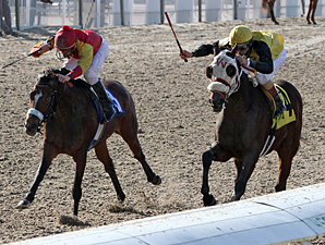 Abama Light win the 1st running of the Magic City Classic.