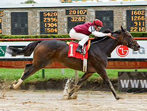 Abby's Angel wins the 2009 Indian Maid.