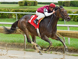 Abby's Angel wins the 2009 Indian Maid.