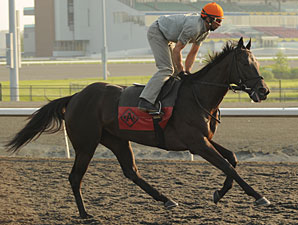 Abrianna - Woodbine May 31, 2011.
