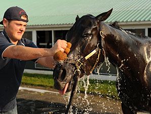 Abrianna - Woodbine May 31, 2011.