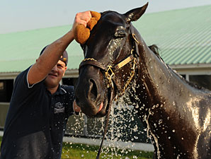 Abrianna - Woodbine May 31, 2011.