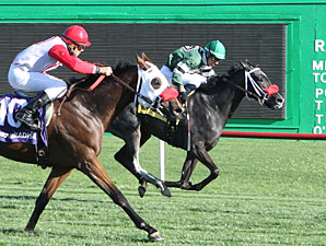 Acarpian wins the 2013 Scottsdale Handicap.