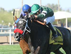 Acarpian wins the 2013 Scottsdale Handicap.