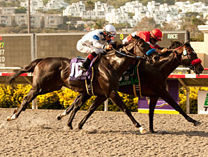 Acclamation wins the Pacific Classic.