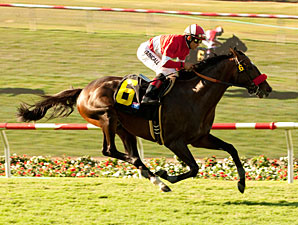 Acclamation wins the 2011 Eddie Read.