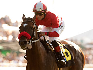 Acclamation wins the 2011 Eddie Read.