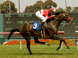 Acclamation wins the 2010 Jim Murray Stakes.
