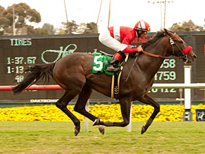 Acclamation wins the 2011 Jim Murray.