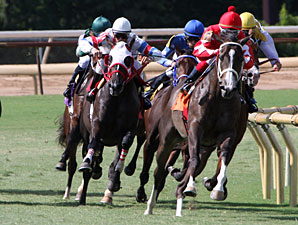 Aces N Kings wins the 2010 Sunny’s Halo Stakes.