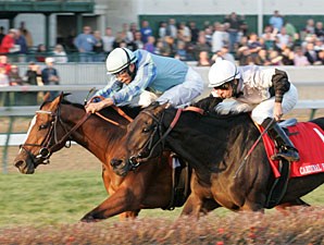Acoma wins the 2009 Cardinal.