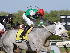 Afleet Again wins the 2010 Withers.