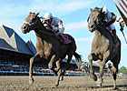 Countdown to the Cup: Afleet Heat