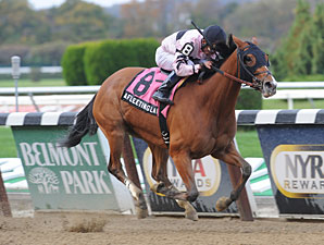 Afleeting Lady wins the 2012 Turnback the Alarm.