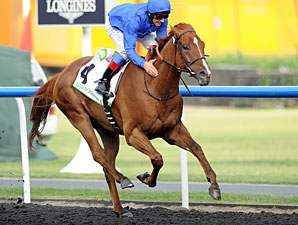 African Story in the 2012 Goldolphin Mile.