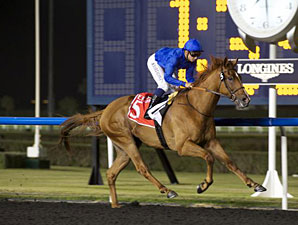 African Story wins the 2013 Burj Nahaar.