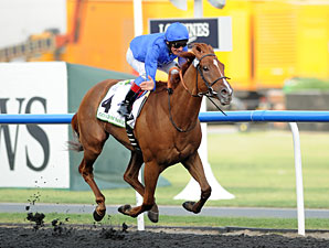 African Story wins the 2012 Godolphin Mile.
