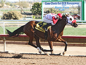 Agent Scully wins the 2013 Arizona Oaks.