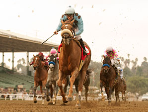 Aggie Engineer wins the 2011 San Pasqual.
